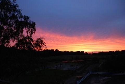 Solnedgang taget på ridelejr i Nordsjælland